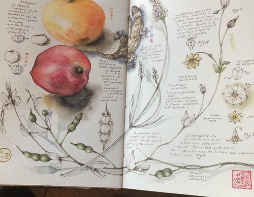 Gallery of Drawing by GiacoMina Ferrillo-Italy
