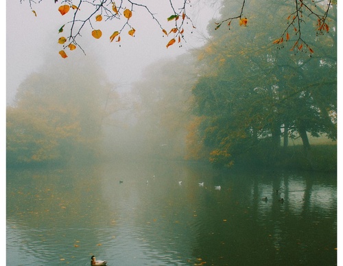 Gallery Of Photography By Daniel Casson - United Kingdom