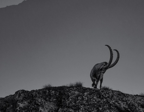 Gallery Of Photography By Keith Ladzinski - Brazil