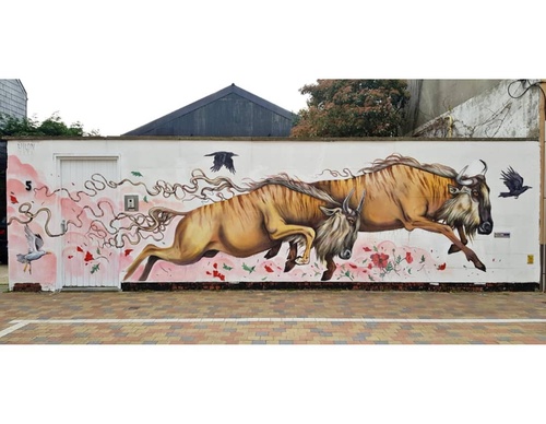 Gallery Of Street Art By Bailon - Brazil