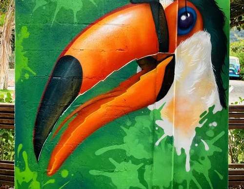 Gallery Of Street Art By Berejuk - Brazil