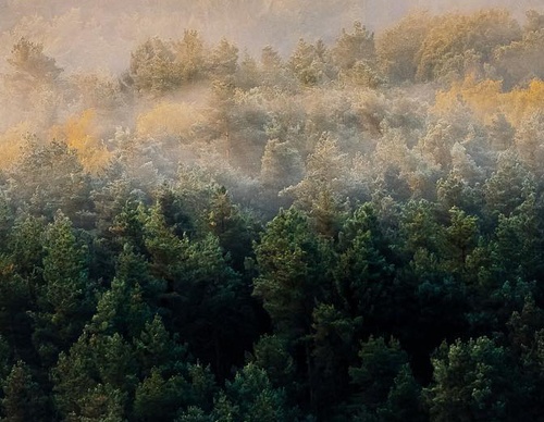 Galeria de Fotografia de Jan Pallmer - Alemanha