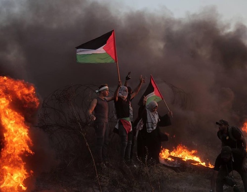 Galería de fotografías de Mohammed Zaanoun - Palestina