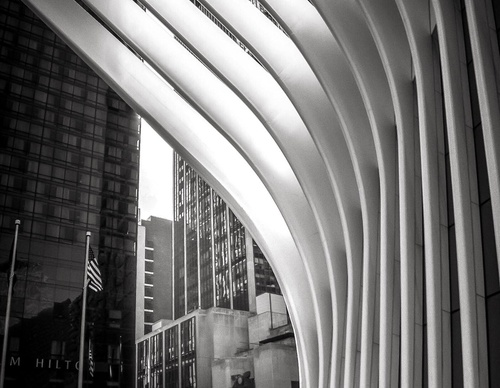 william smith