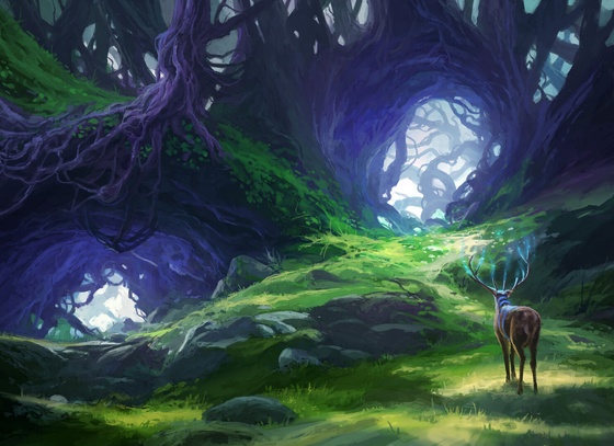 Andreas Rocha