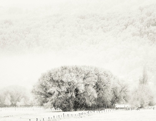 Galería de fotografía de Patricio Rodríguez - Argentina