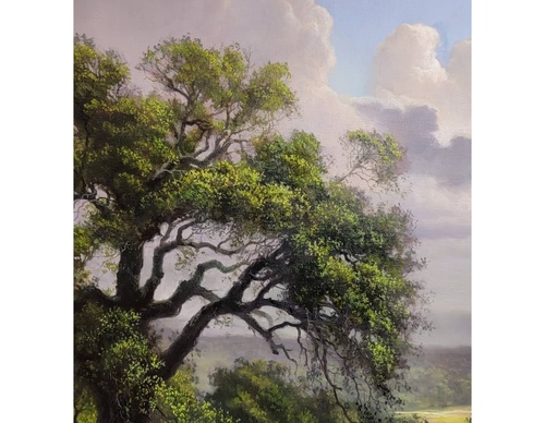 Gallery Of Painting By Layne Johnson - Texas