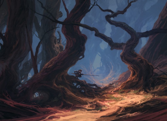 Andreas Rocha