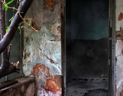 Gallery Of Photography By Federico Fortini - Argentina