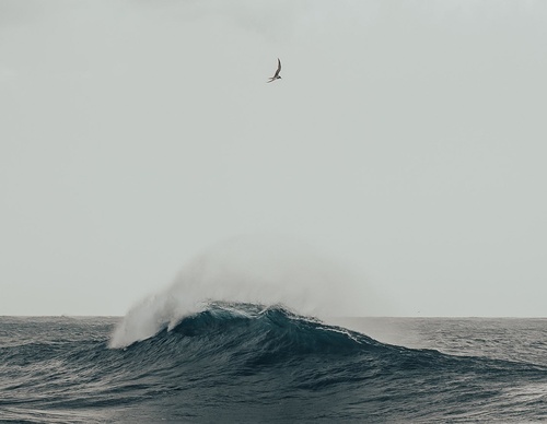 Galería de fotografías de Rob Ash - Inglaterra