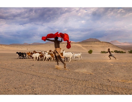 Galería de fotografía de Steve McCurry - Estados Unidos