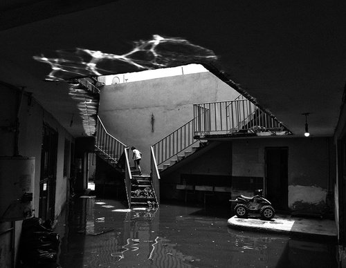 world press photo
