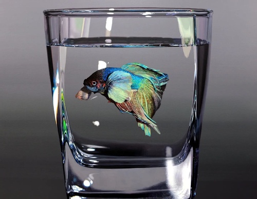 Gallery Of Realistic Painting By Young-sung Kim - South Korea