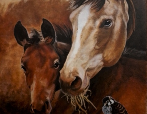 jorge castrillon
