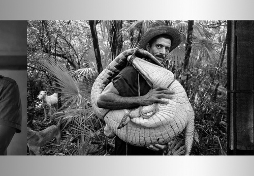 Galería de Fotografía de Raúl Cañibano – Cuba