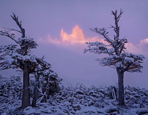 Galería de fotografía de Greg Boratyn - Argentina