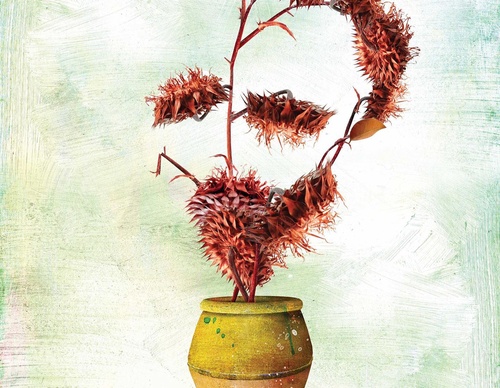 Galería De Ilustración De Pablo Bernasconi - Argentina