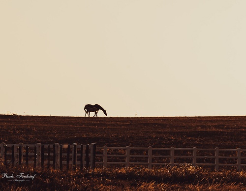 Gallery Of Photography By Norberto Kreutzer Fruhauf - Brazil