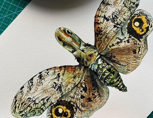 Gallery Of Painting By Rita Gould - United Kingdom