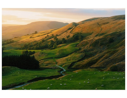 Gallery Of Photography By Daniel Casson - England