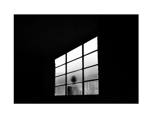 Galeria de fotografia de Ovidiu Șelaru - Romênia