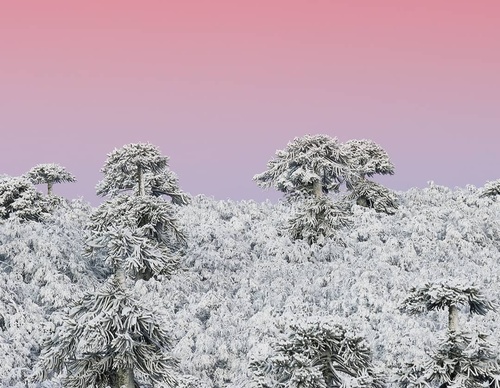 Galería De Fotografía De Diego Spatafore - Argentina