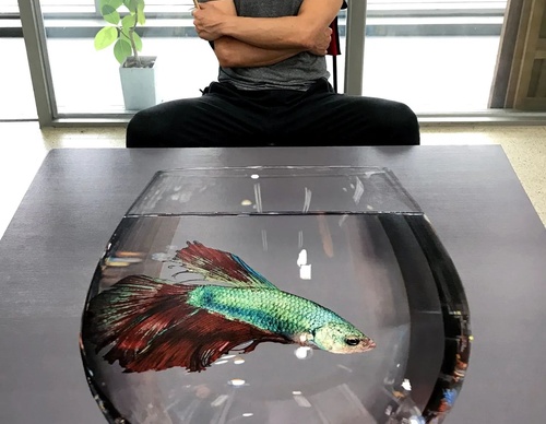 Gallery Of Realistic Painting By Young-sung Kim - South Korea