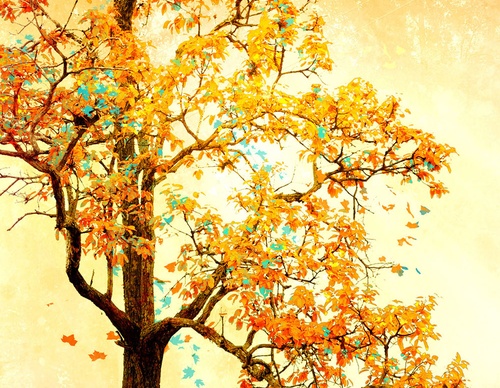 best illustrators