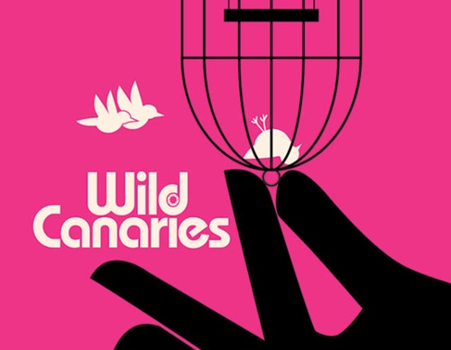 brandon schaefer film posters