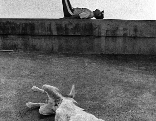 raul canibano