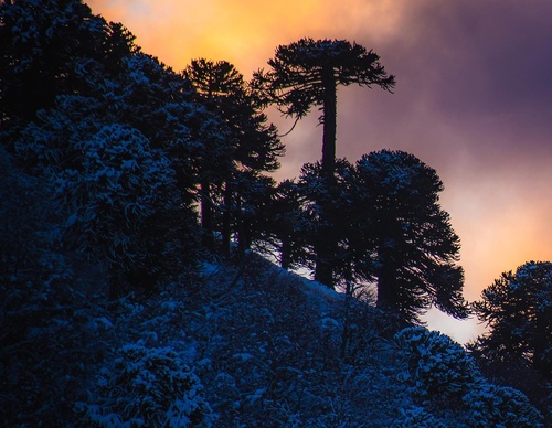 Gallery Of Photography By Sebastián Ojeda S - Chile