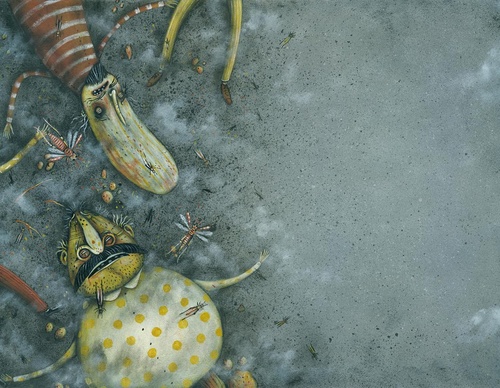 Galeria de Ilustração de Mohsen Mirzaei - Irã
