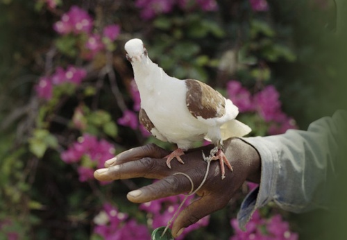 Galería de Fotografía de Gregory Halpern – EE. UU.