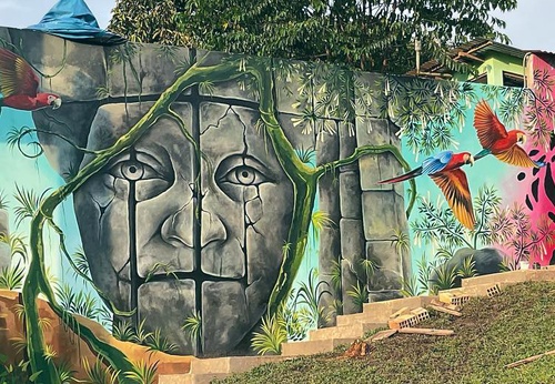 Gallery Of Steer Art By Zelvauno - Peru