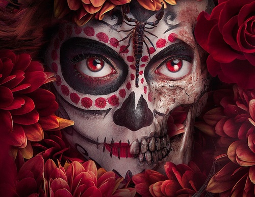 Galeria de ilustrações de João Cunico - Brasil