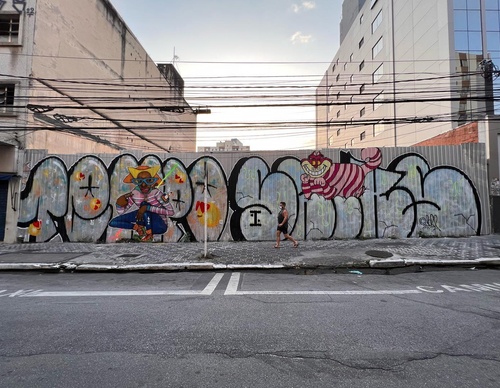Gallery Of Street Art By Rafael Sliks - Brazil