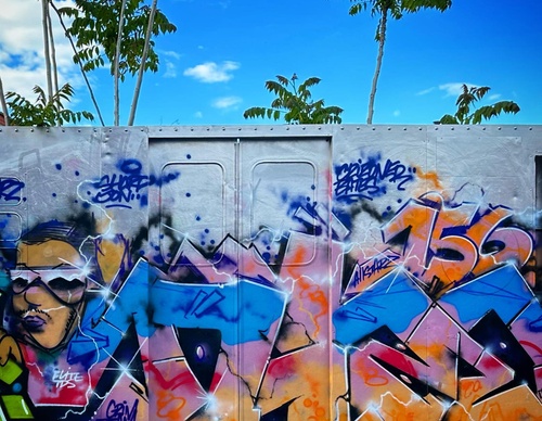 Gallery Of Street Art By Vincent Veyret - Peru