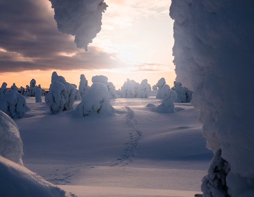 Gallery Of Photography By Elias Kalliola - USA