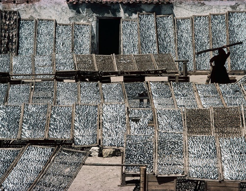 bruno barbey