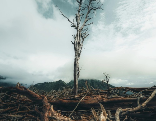 Gallery Of Photography By Giulio Gröbert - Germany