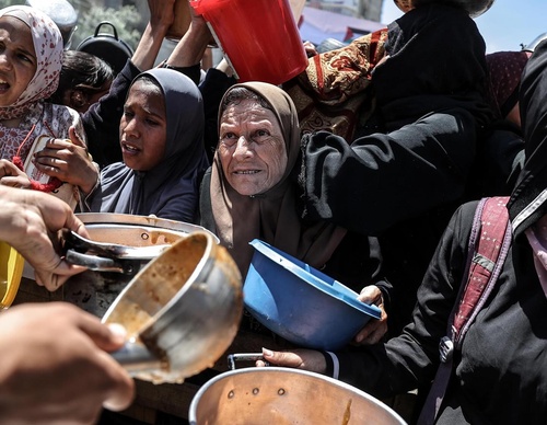 ali jadallah gaza