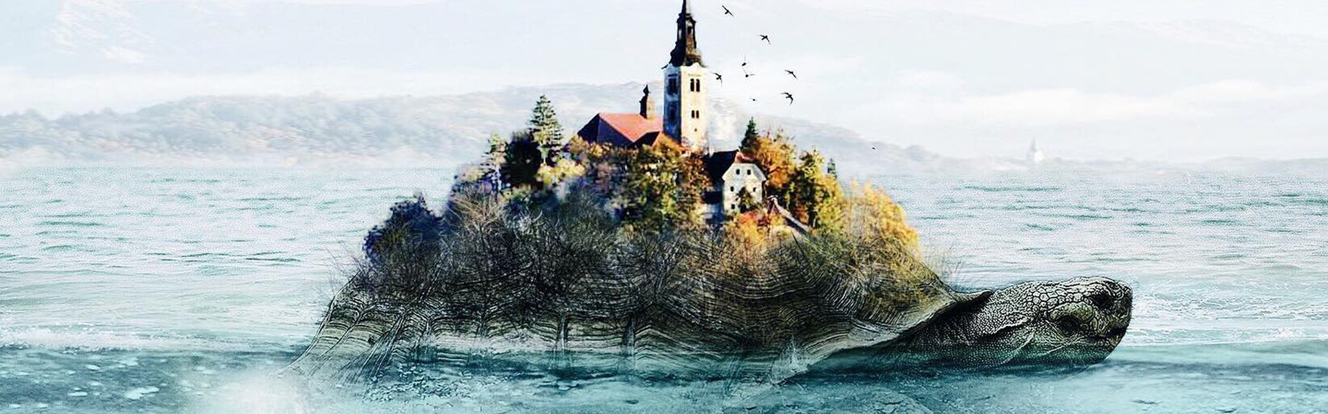 Galería De Ilustración De Luisa Azevedo - Portugal