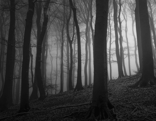 Galería de fotografías de Pujan Shadlau - Austria