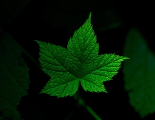 Gallery Of Photography By Keith Ladzinski - Brazil