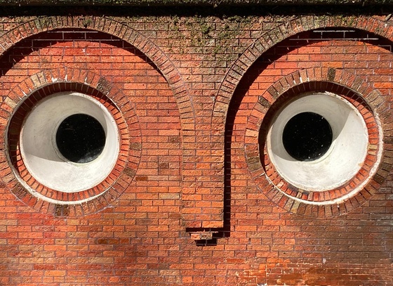 raphael truffi bortholuzzi brazil