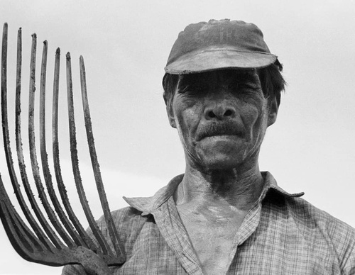 Gallery Of Photography By João Roberto Ripper - Brazil