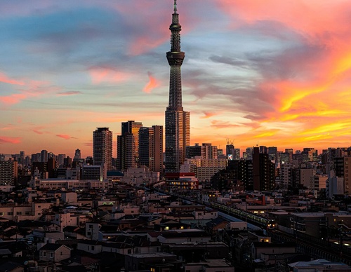 Gallery Of Photography By Junya Watanabe - Japan