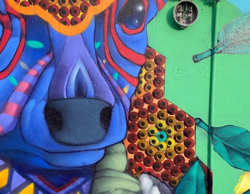 Gallery Of Street Art By Elchicho - Mexico