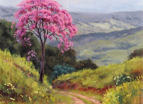 mario sergio freitas