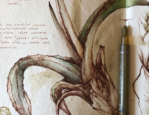 Gallery of Drawing by GiacoMina Ferrillo-Italy